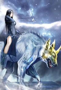 乱入之三国争霸